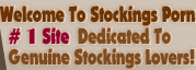  Stockings Porn
